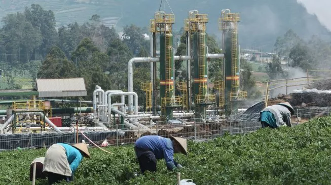 Tak Cuma Akses Listrik Saja, Pengembangan Ekonomi Hijau Tingkatkan Ekonomi Daerah