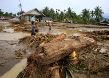Banjir dan Longsor di Tiga Provinsi Sumatra: Korban 442 Meninggal dan 402 Hilang